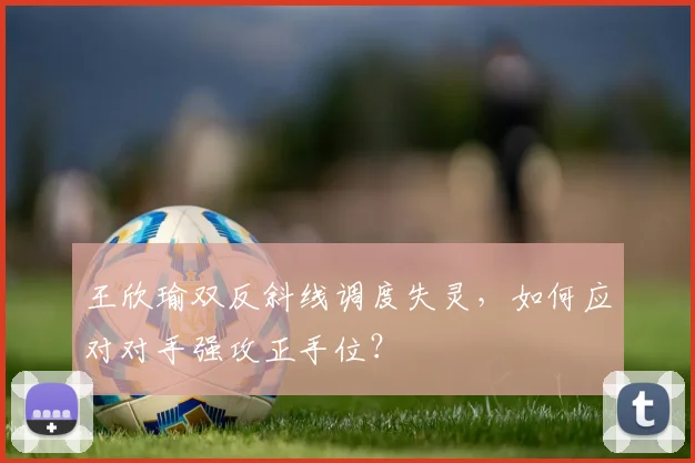 王欣瑜双反斜线调度失灵，如何应对对手强攻正手位？